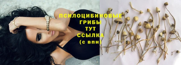 apvp Богородицк