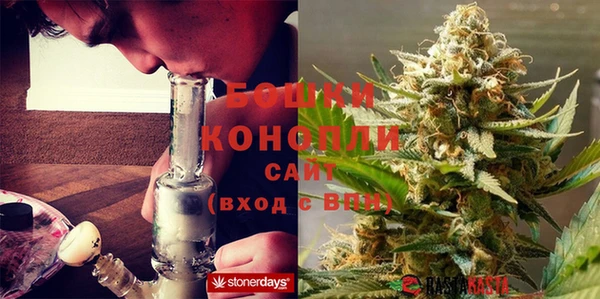 трава Богданович