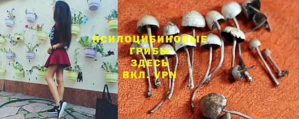 трава Богданович