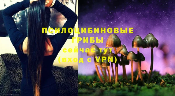 apvp Богородицк