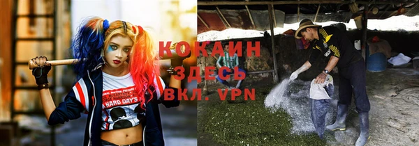 apvp Богородицк